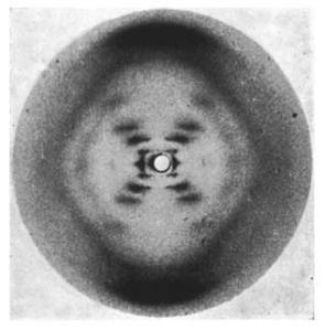 Famous Photo 51 by Dr. Rosalind Franklin and Raymond Gosling (Source: Wikipedia)