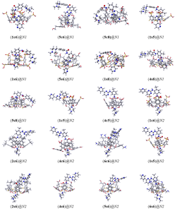 Optimized geometries for all complexes under study (B97D/6-31G*)
