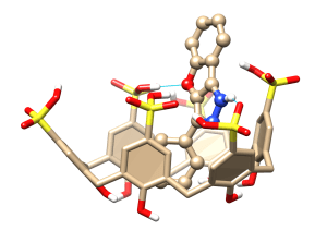 Donor and acceptor H-bond sites increases the probability of keeping the drug in place for a higher retention rate