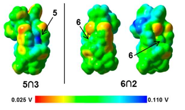 Electrostatic potential mapped onto the electron density surface of one of the aducts under study