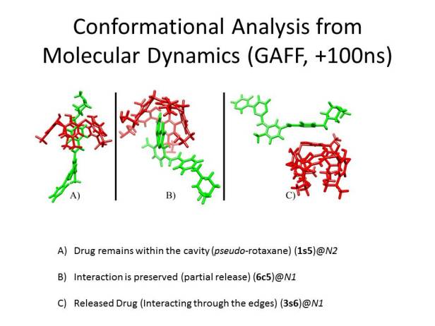 100ns of MD show three kinds of structures (inserted, partially released and totally released)